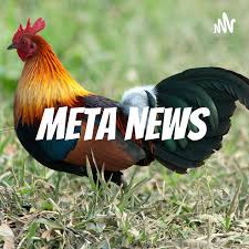 Meta News