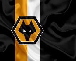 Wolverhampton Wanderers Football Club flag