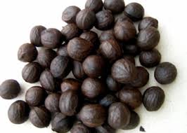 Image result for walnut