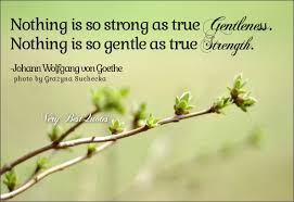 True gentleness true strength - Inspirational Quotes about Life ... via Relatably.com
