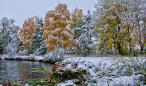 Image result for image of frost in the fall
