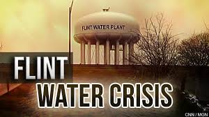 Image result for flint water crisis