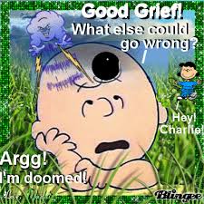 Image result for Good Grief gif