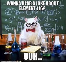 Internet Meme: Chemistry Cat | Mole Empire via Relatably.com