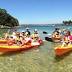 Activities and things to do in the water at Manly, Sydney