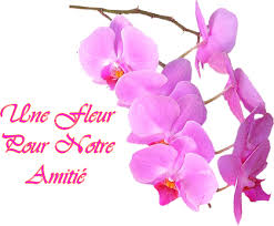 Résultat de recherche d'images pour "images d'amitié"