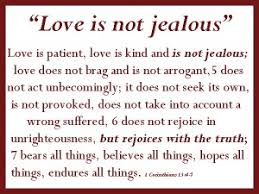 What is the cure for jealousy? Love is the cure for jealousy ... via Relatably.com