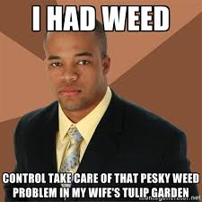 I had weed Control take care of that pesky weed problem in my ... via Relatably.com