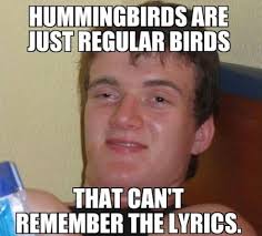 10 Guy - Hummingbirds via Relatably.com