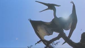 Resultado de imagem para pteranodon