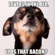 Funny meme - Love is in the air | Funny Dirty Adult Jokes, Memes ... via Relatably.com