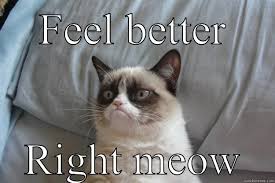 Feel better kitty - quickmeme via Relatably.com