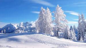 Image result for winter scenery