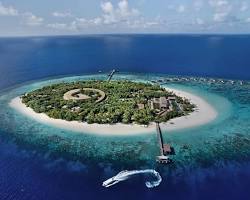 جزيرة غافو جزر المالديف