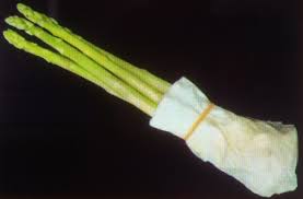 Hasil gambar untuk menyimpan sayuran asparagus