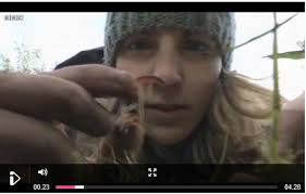 這裡有一篇BBC 在2012 年6 月對蚯蚓獵人Emma Sherlock 的報導, 還有一段訪問影片. 從她的談話裡, 你一定可以感受到她對蚯蚓的熱愛. 蚯蚓除了有各種你沒見過的大小顏色 ... - emma2