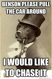 Old money dog on Pinterest | Dog Memes, Money and Funny Animal Pics via Relatably.com