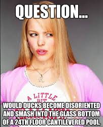 Question... would ducks become disoriented and smash into the ... via Relatably.com