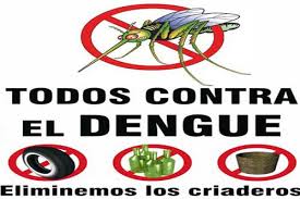 Resultado de imagen para prevencion dengue