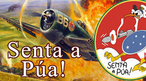 Resultado de imagem para Dia da Aviação de Caça da Força Aérea Brasileira