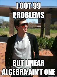I got 99 Problems But Linear Algebra ain&#39;t one - Jay the Proud ... via Relatably.com