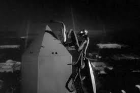 Image result for movie the deadly mantis