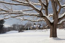 Image result for cairncrest in winter