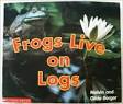 time to discover frogs live on logs  ̹ ˻