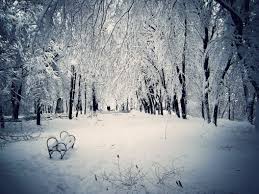 Image result for winter photos