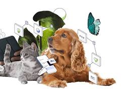 Wag! pet sitting software