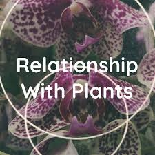Relationship With Plants