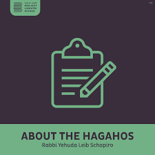 About the Hagahos, Rabbi Leibel Schapiro
