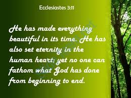 Image result for images of ecclesiastes 3:11