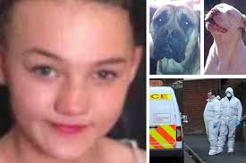 Josh Pheasey, 13, said Jade Anderson was &quot;a beautiful girl&quot; who &quot;wouldn&#39;t hurt a fly&quot;. The 14-year-old was discovered with wounds consistent with ... - Jade-Anderson-1787708