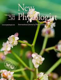 Salt tolerance and ion relations of Salsola kali L.: differences ...