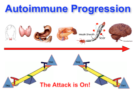 「autoimmune system」的圖片搜尋結果