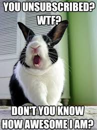 Dissatisfied Bunny memes | quickmeme via Relatably.com