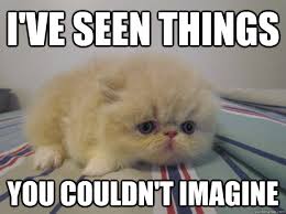 Shell-shocked kitten memes | quickmeme via Relatably.com