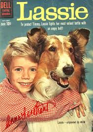 Image result for images of lassie
