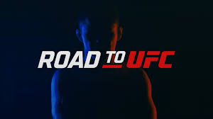 "Thai Fighter Shines with Devastating Flying Knee in Road to UFC Season 2, Ep 3-4 Recap"