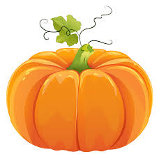 Image result for pumpkin images