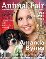 Actress Amanda Bynes will be gracing this month&#39;s copy of Animal Fair magazine along w/ her adorable King Charles Spaniel, Charlie! - afcover