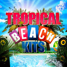 Tropical Beach Elements Vibes  Images?q=tbn:ANd9GcSwMeGQr5KbyCdzfFWdW51uxkh5sofIFEYOXiEFwvvxsDSNLxKF