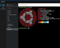 Obraz: Aktualizacje oprogramowania dla bezpieczeństwa serwera Linux