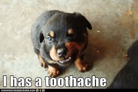 Top Toothache Meme Images for Pinterest via Relatably.com