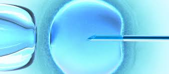 Risultati immagini per crioconservazione embrioni