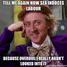 Tell me AGAIN how sex induces labour because overdue, I really ... via Relatably.com