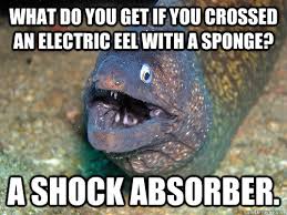 ernie the eel memes | quickmeme via Relatably.com