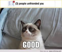 Memes Vault Angry Cat Memes Birthday via Relatably.com