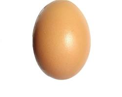 Изображение на Яйца